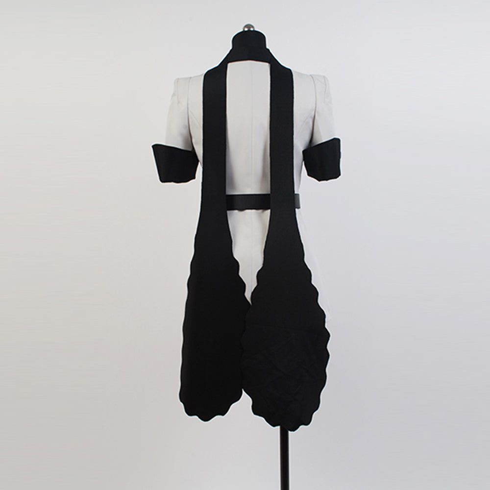 Akame GA KILL Esdeath Empire Cosplay Costume