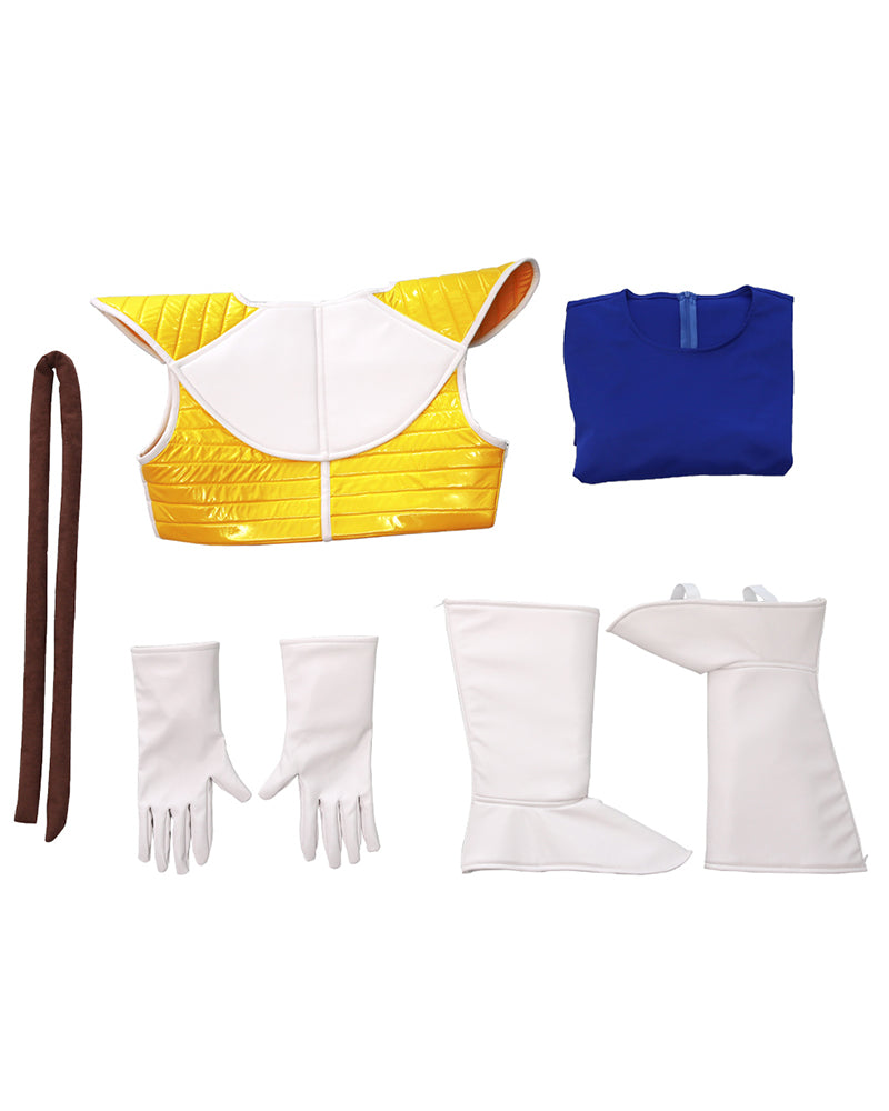 Dragon Ball Z Vegeta Cosplay Costume